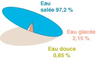 eau salee